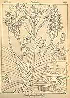  no thumbnail available