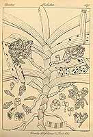  no thumbnail available