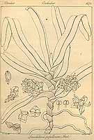  no thumbnail available