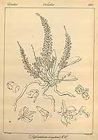  no thumbnail available