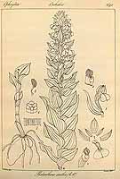  no thumbnail available