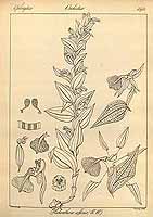  no thumbnail available