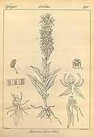  no thumbnail available