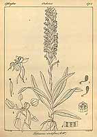  no thumbnail available