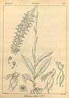  no thumbnail available