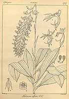  no thumbnail available