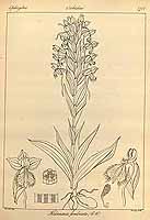  no thumbnail available