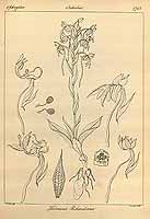  no thumbnail available