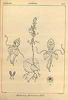  no thumbnail available