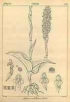  no thumbnail available