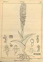  no thumbnail available