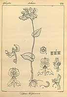  no thumbnail available