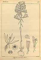  no thumbnail available