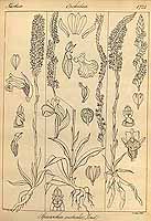  no thumbnail available