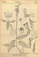  no thumbnail available