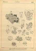  no thumbnail available