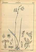  no thumbnail available