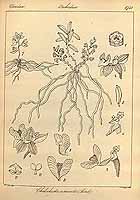  no thumbnail available