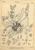  no thumbnail available