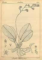  no thumbnail available