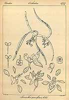  no thumbnail available