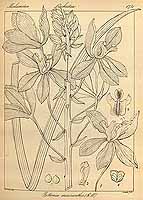  no thumbnail available