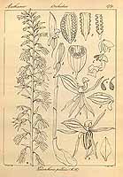  no thumbnail available