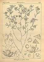  no thumbnail available