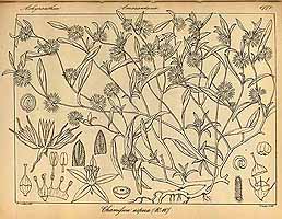  no thumbnail available