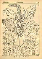  no thumbnail available