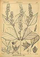  no thumbnail available