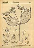  no thumbnail available