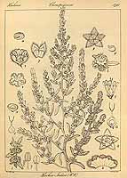  no thumbnail available