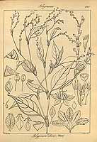  no thumbnail available