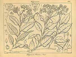  no thumbnail available