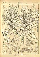  no thumbnail available