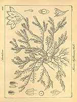  no thumbnail available