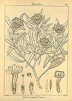  no thumbnail available