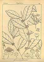  no thumbnail available