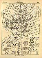  no thumbnail available