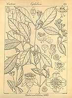  no thumbnail available