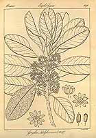  no thumbnail available