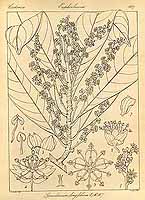  no thumbnail available