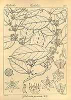  no thumbnail available