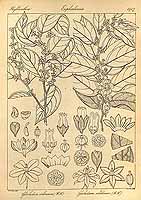  no thumbnail available