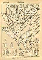  no thumbnail available