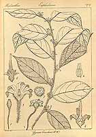  no thumbnail available