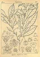  no thumbnail available