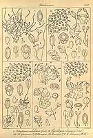  no thumbnail available