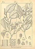  no thumbnail available